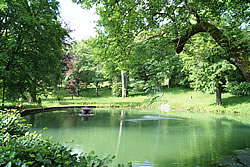Wisenberg - Englischer Garten Mapprach